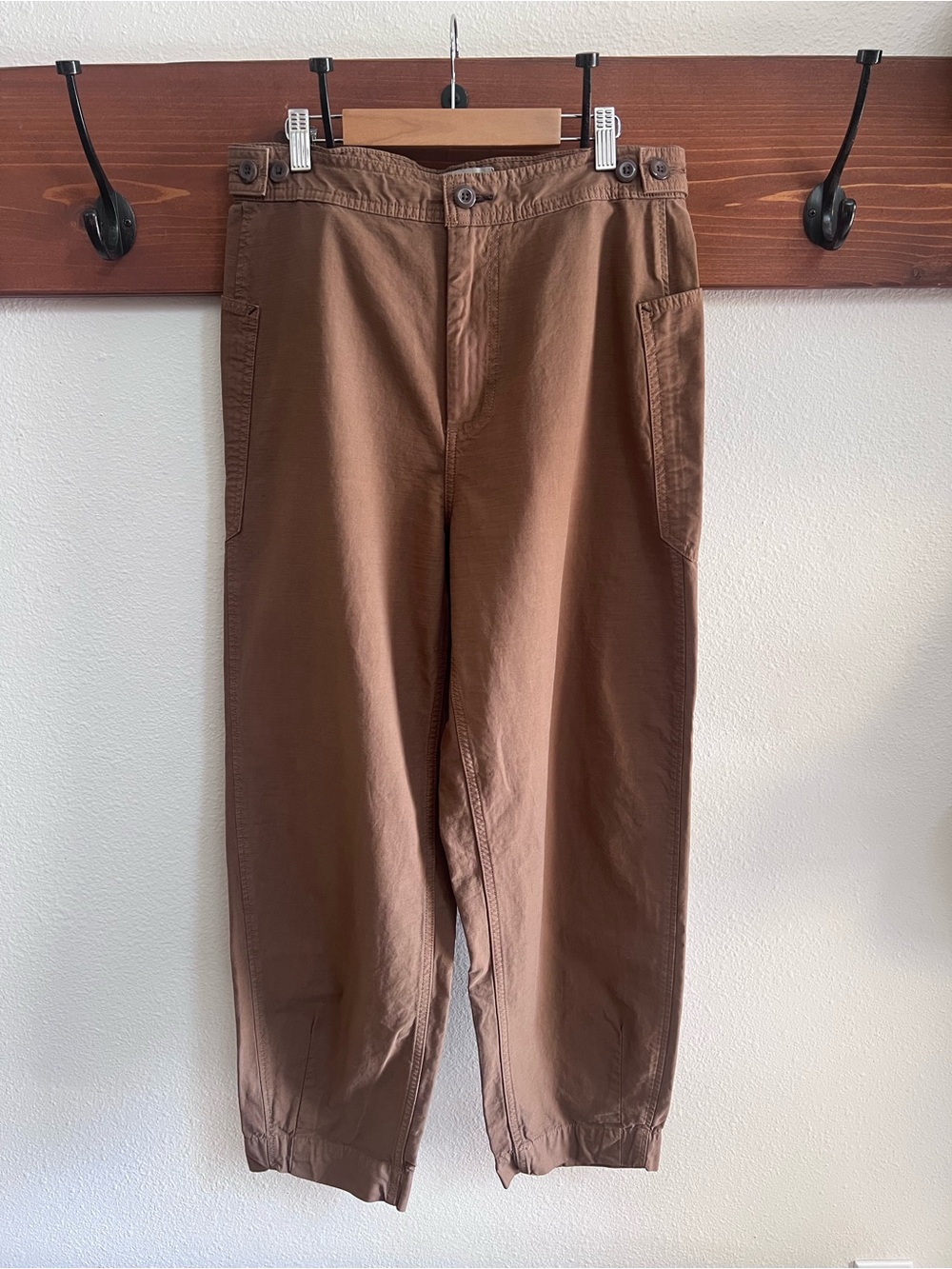 Everlane Fatigue Barrel pants in Brown